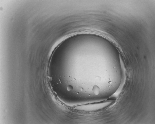 X0000065261530200602211237