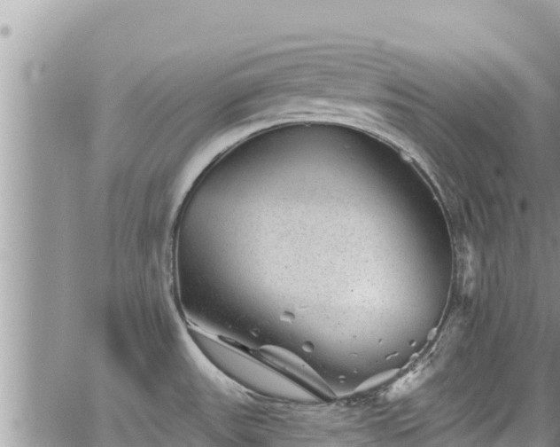 X0000065261531200602211237