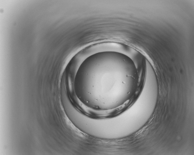 X0000065261532200602211237