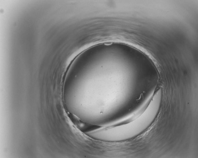 X0000065261534200602211237