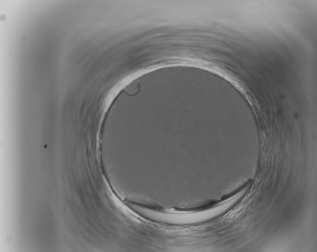 X0000065261535200602211237