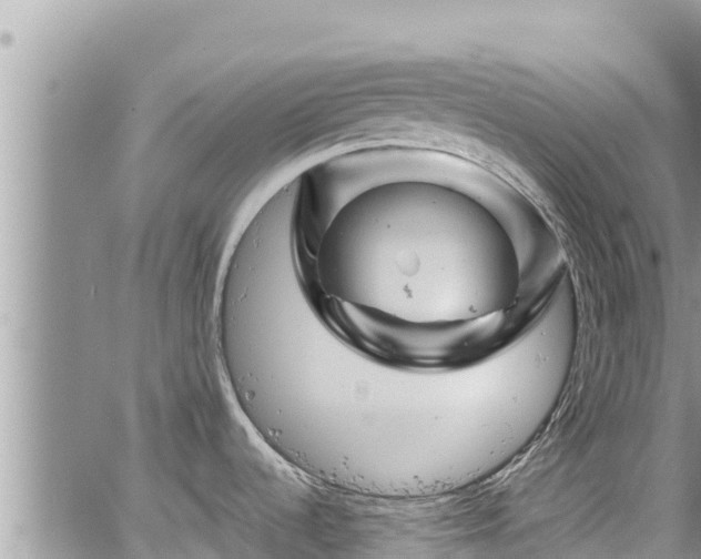 X0000065261536200602211237