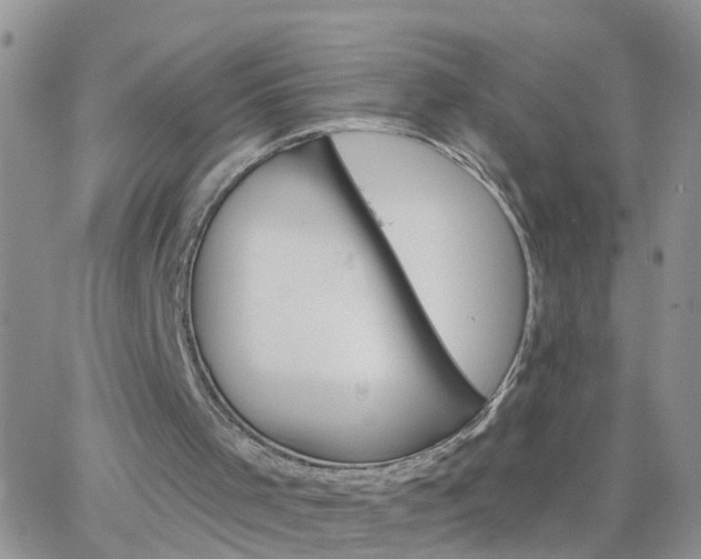 X0000065260001200602242126