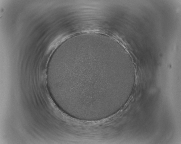 X0000065260002200602242126