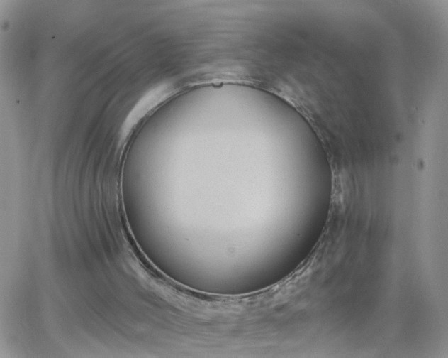 X0000065260004200602242126