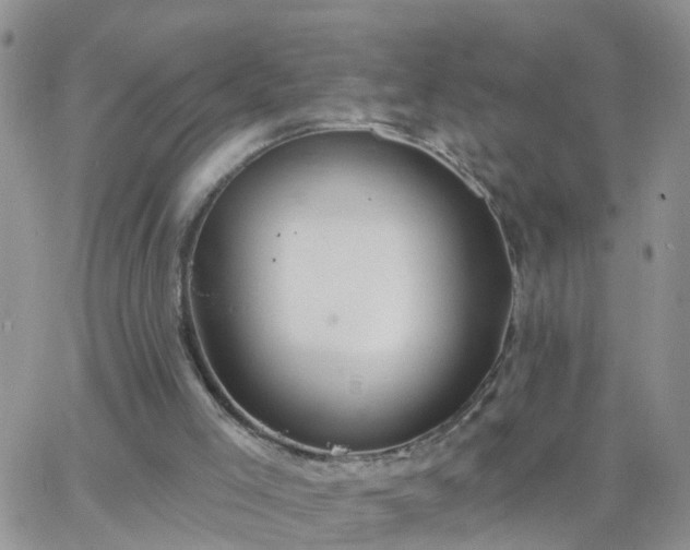 X0000065260005200602242126