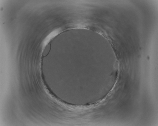 X0000065260006200602242126