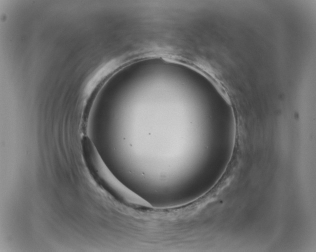 X0000065260007200602242126