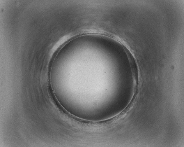 X0000065260008200602242126