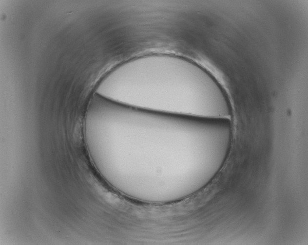 X0000065260009200602242126