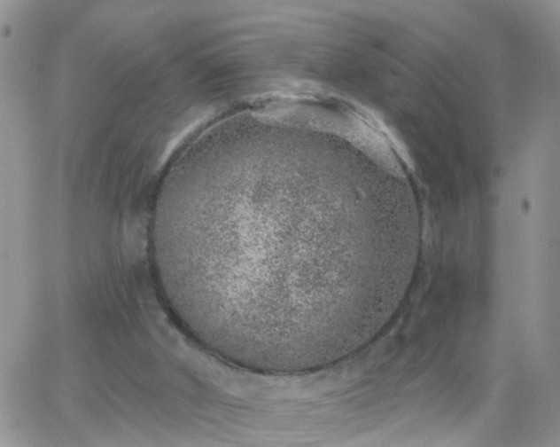 X0000065260010200602242126