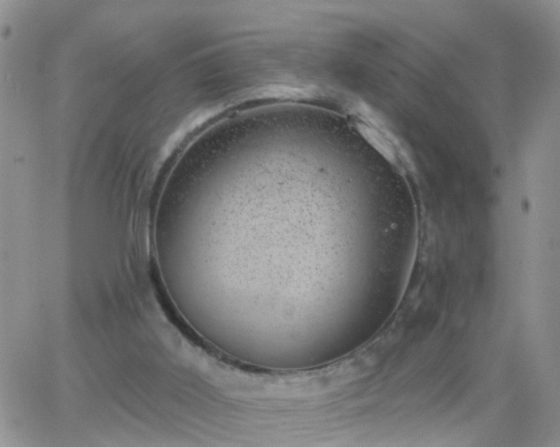 X0000065260011200602242126