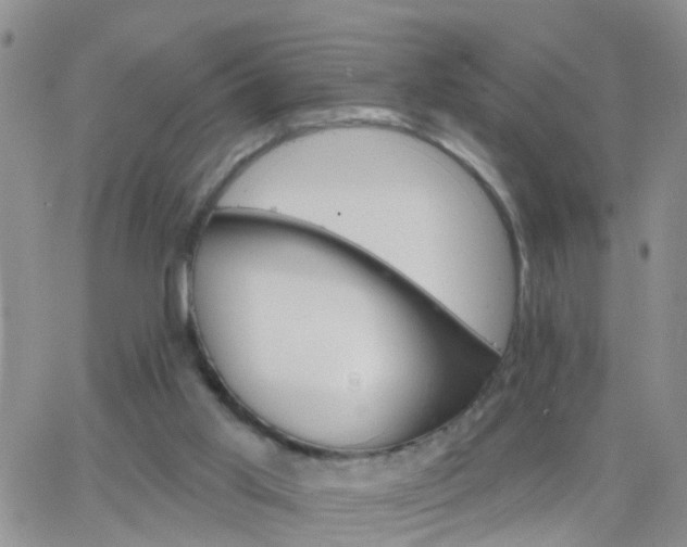 X0000065260013200602242126