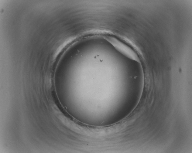 X0000065260015200602242126