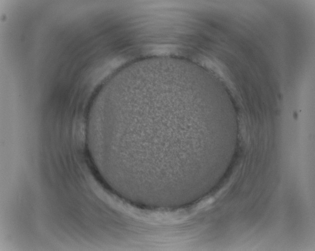 X0000065260016200602242126