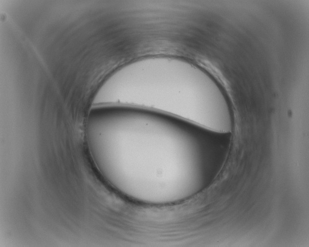 X0000065260017200602242126