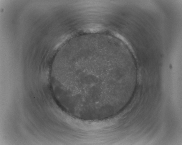 X0000065260018200602242126