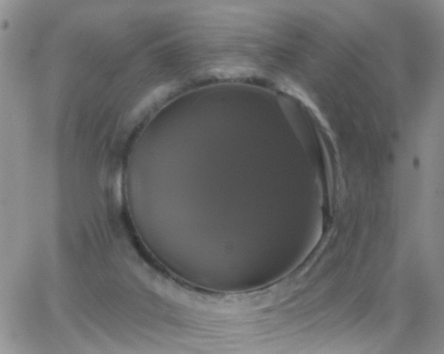 X0000065260019200602242126