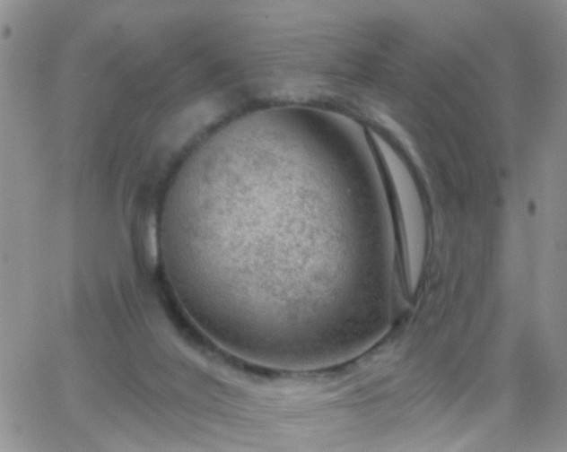 X0000065260020200602242126