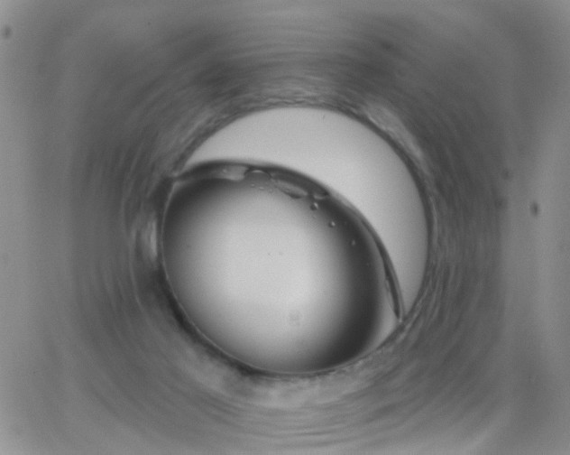 X0000065260021200602242126