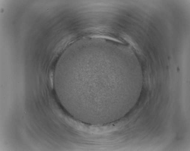 X0000065260022200602242126