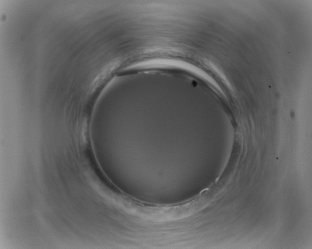 X0000065260023200602242126