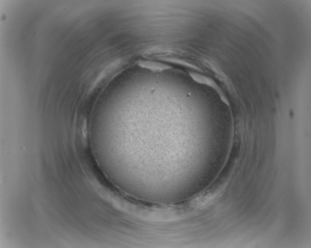 X0000065260024200602242126