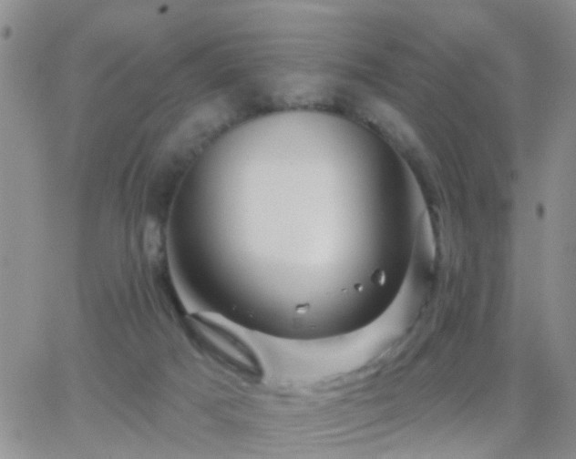 X0000065260025200602242126