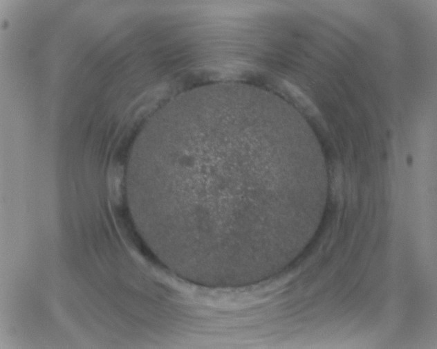 X0000065260026200602242126