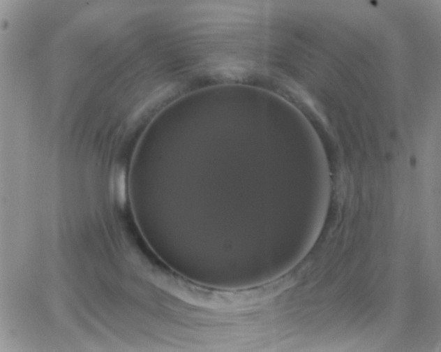 X0000065260027200602242126