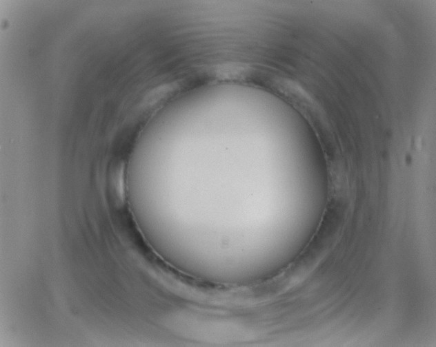 X0000065260028200602242126