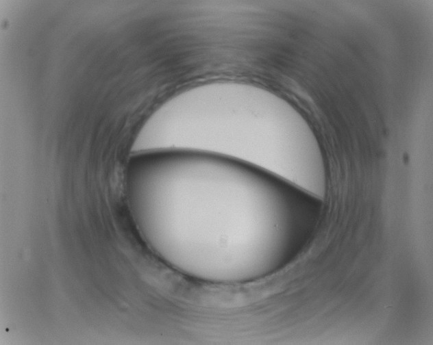 X0000065260029200602242126