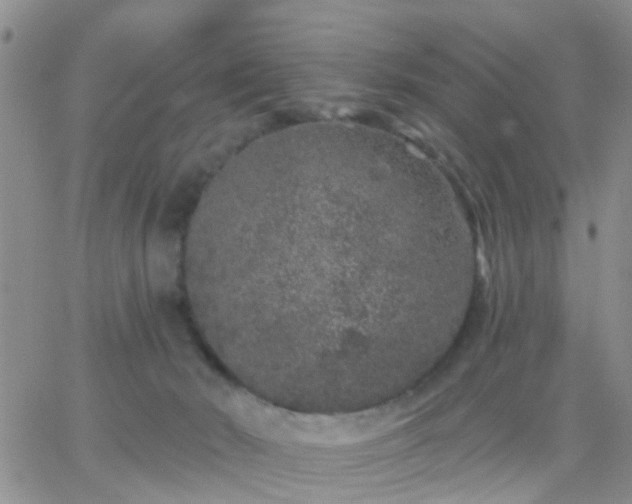 X0000065260030200602242126