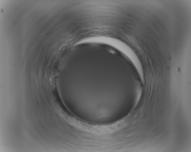 X0000065260031200602242126