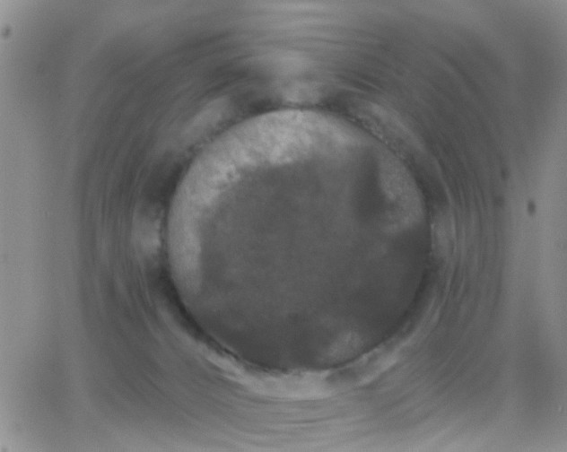 X0000065260032200602242126