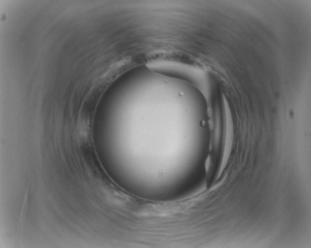 X0000065260033200602242126