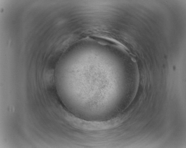 X0000065260034200602242126