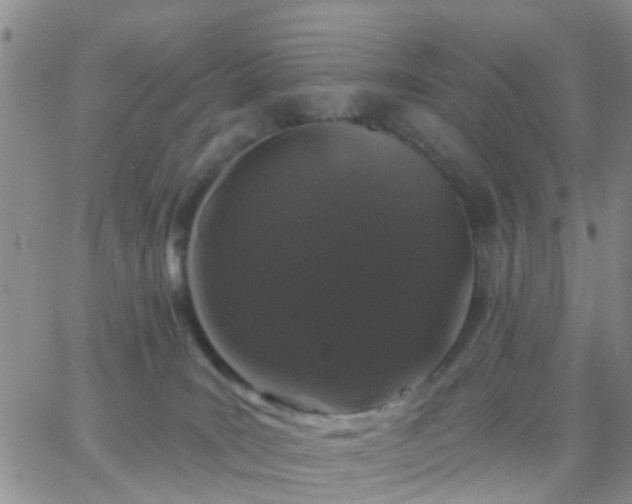 X0000065260035200602242126