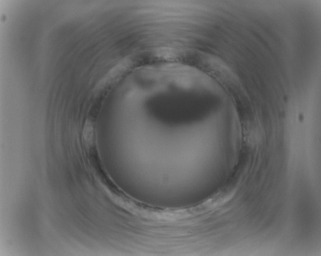 X0000065260036200602242126