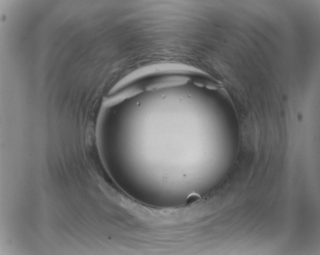 X0000065260038200602242126