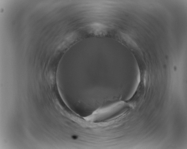 X0000065260039200602242126