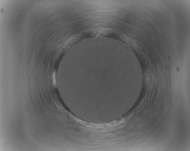 X0000065260042200602242126