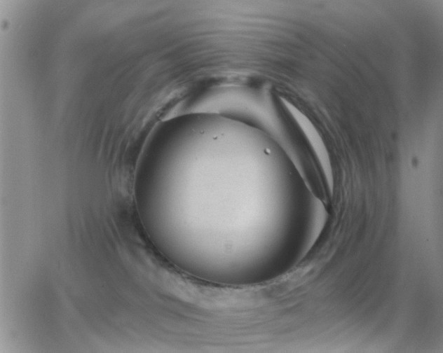 X0000065260044200602242126