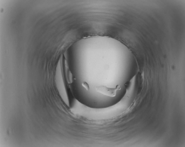 X0000065260045200602242126