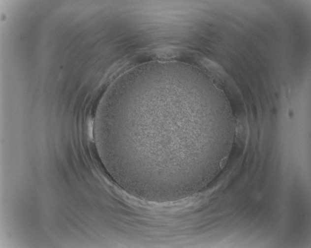 X0000065260046200602242126