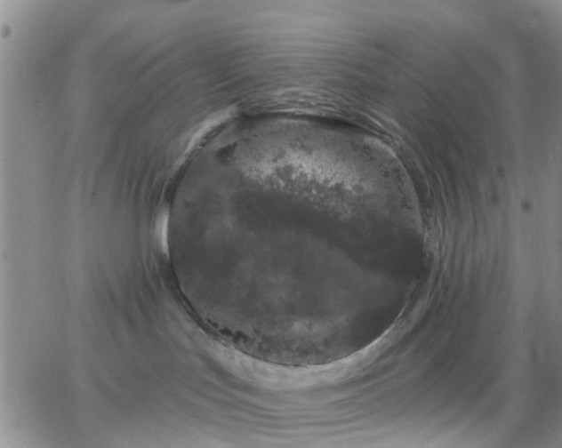 X0000065260047200602242126