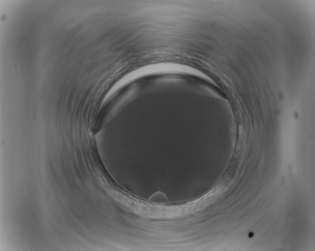 X0000065260048200602242126