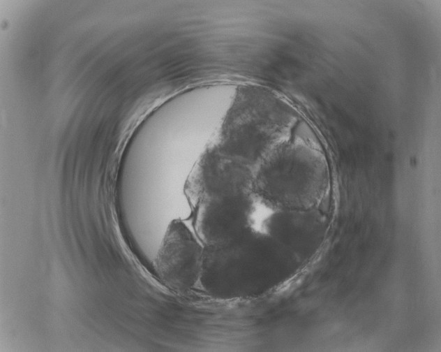 X0000065260049200602242125