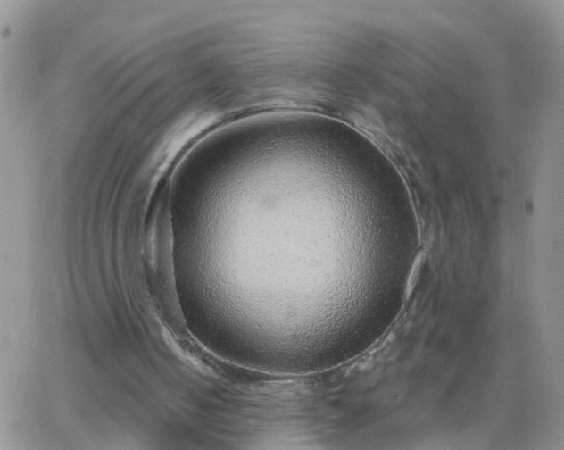 X0000065260050200602242125