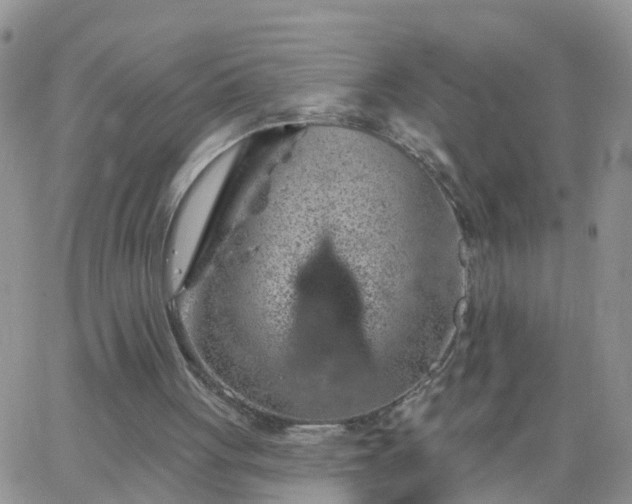 X0000065260051200602242125